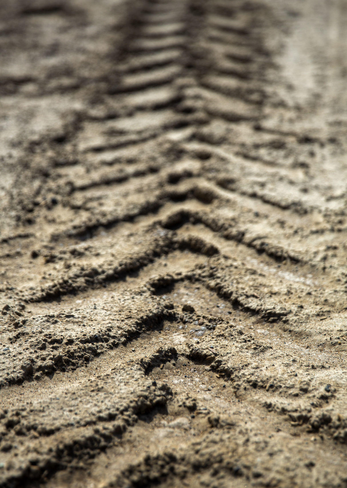 Mud Drag races at Jerome County Fair